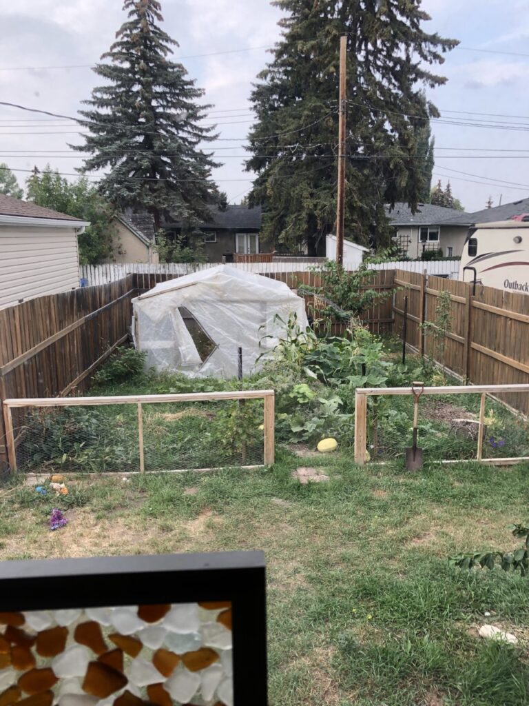 cheap lawn care calgary